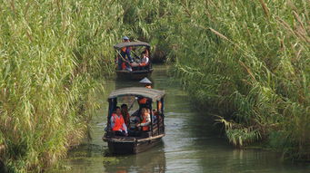 常熟中江智選假日酒店1晚 沙家浜門票 紅色經(jīng)典旅游